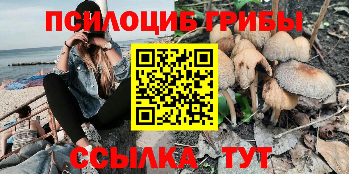 Псилоцибиновые грибы мицелий  цены наркотик  Псилоцибиновые грибы мухоморы  Арзамас  Вход с VPN 
